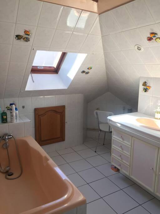 Logement Cosy Et Lumineux Auxerre Buitenkant foto