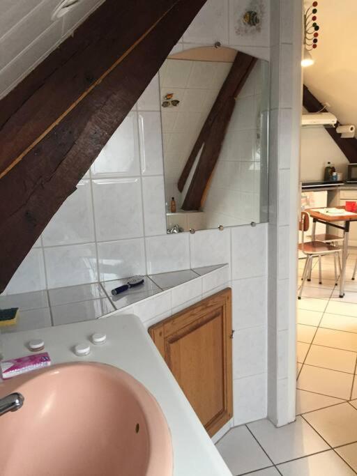 Logement Cosy Et Lumineux Auxerre Buitenkant foto
